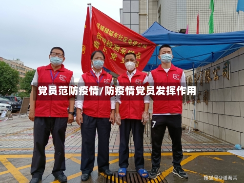 党员范防疫情/防疫情党员发挥作用